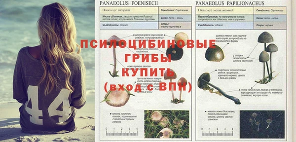 стафф Кулебаки