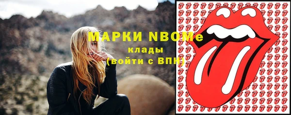 бошки Ладушкин