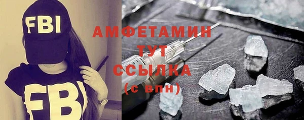 индика Лабытнанги