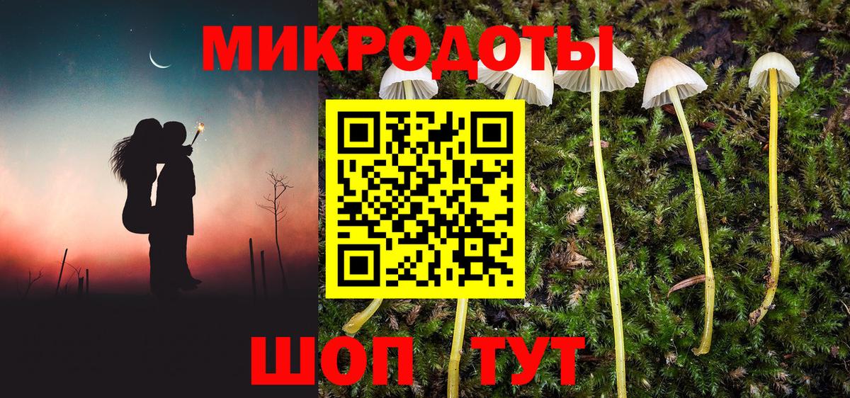Галлюциногенные грибы GOLDEN TEACHER  Вход с VPN  Усть-Илимск 
