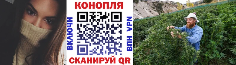 KRAKEN сайт  Усть-Илимск  Бошки марихуана VHQ 